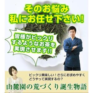 お茶 鹿児島茶 荒づくり 100g 3個以上送...の詳細画像2