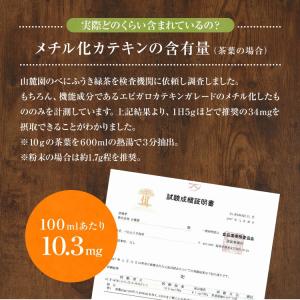 べにふうき茶 緑茶 鹿児島産 茶葉 熊本産 有...の詳細画像4
