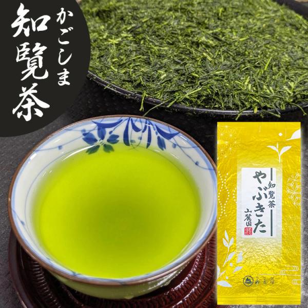 知覧茶 やぶきた 100g 緑茶 茶葉 日本茶 煎茶 お茶の葉