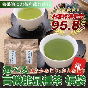 お茶 高機能品種茶 福袋 茶葉 緑茶 200g さえみどり ゆたかみどり 100×2個 ギフト｜tea-sanrokuen