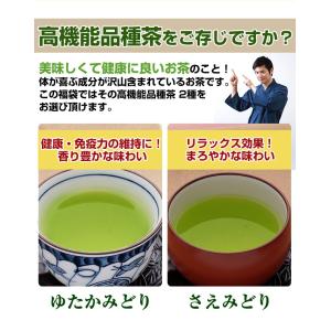 お茶 高機能品種茶 福袋 茶葉 緑茶 200g...の詳細画像1