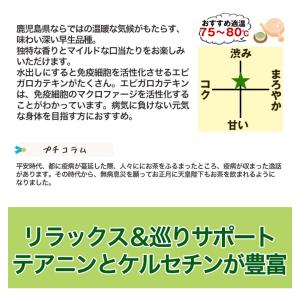 お茶 高機能品種茶 福袋 茶葉 緑茶 200g...の詳細画像4