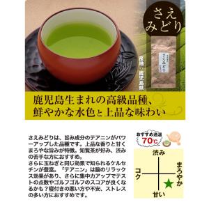お茶 高機能品種茶 福袋 茶葉 緑茶 200g...の詳細画像5