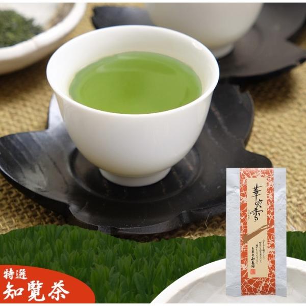 知覧茶 華吹雪 100g 茶葉 日本茶 緑茶 深蒸し茶 お茶葉 お茶の葉 お歳暮 ギフト