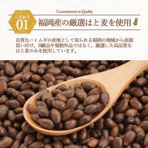 ハトムギ茶 はと麦茶 ティーバッグ 福岡県産 ...の詳細画像3