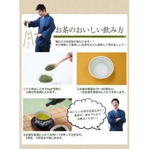 新茶 お茶 熊本ぐり茶 一番摘み 100g 3...の詳細画像3