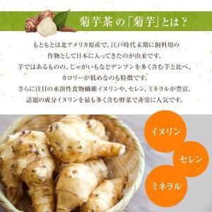 菊芋茶 国産 ティーバッグ 2g×40包 熊本...の詳細画像3