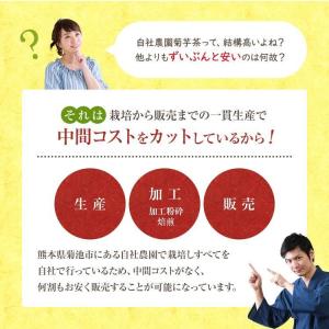菊芋茶 国産 ティーバッグ 2g×40包 熊本...の詳細画像4