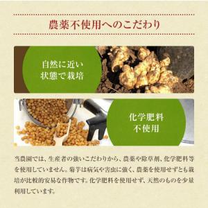 菊芋茶 国産 ティーバッグ 2g×40包 熊本...の詳細画像5