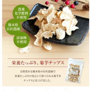 菊芋チップス 100g 熊本県産100% 国産...の詳細画像1