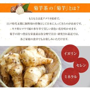 菊芋チップス 100g 熊本県産100% 国産...の詳細画像2