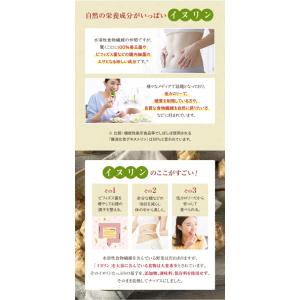 菊芋チップス 100g 熊本県産100% 国産...の詳細画像3