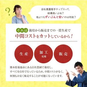 菊芋チップス 100g 熊本県産100% 国産...の詳細画像4
