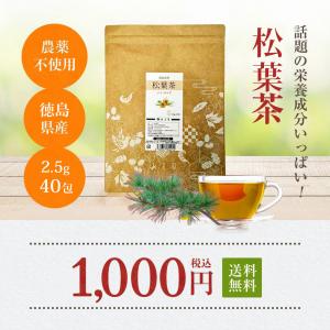 松葉茶 ティーバッグ 国産 松の葉茶 ティーパ...の詳細画像2