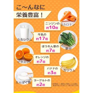鹿児島県産 粉末 モリンガ パウダー 国産 熊...の詳細画像2