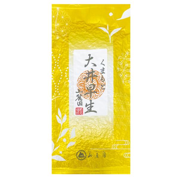 2024年 新茶 おおいわせ 大井早生くまもと 玉緑茶 100g 球磨 相良村産