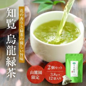 知覧 烏龍緑茶 癒される花とハーブの香りの緑茶 3.8g×12P×2袋セット 国産 ウーロン茶 烏龍茶｜お茶の山麓園 緑茶 茶葉 ティーバッグ専門店