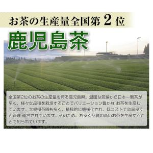 鹿児島茶「桜」 100g 3個以上 送料無料 ...の詳細画像2