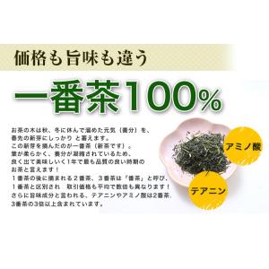 鹿児島茶「桜」 100g 3個以上 送料無料 ...の詳細画像3
