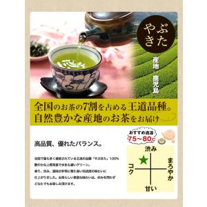 鹿児島茶「桜」 100g 3個以上 送料無料 ...の詳細画像4