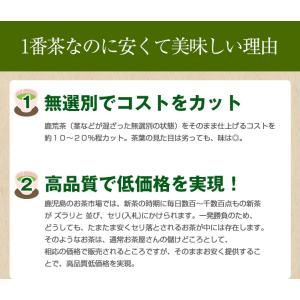 鹿児島茶「桜」 100g 3個以上 送料無料 ...の詳細画像5