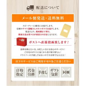 鹿児島産 和紅茶 ティーパック ティーバッグ ...の詳細画像4