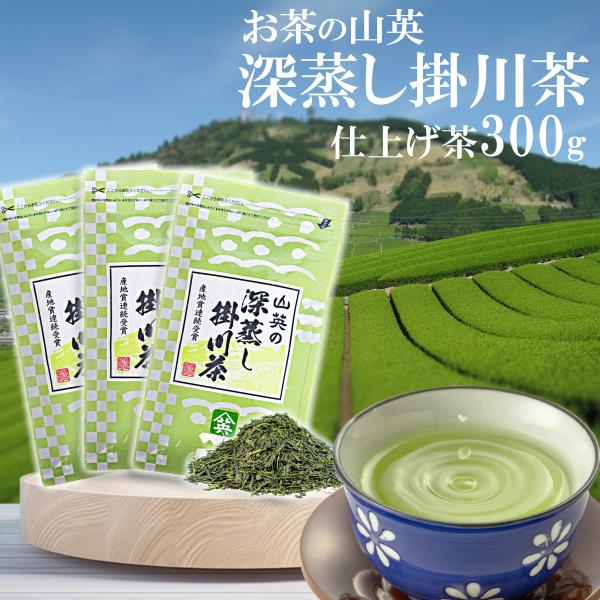 緑茶 茶葉 100g 3袋 静岡 掛川 深蒸し茶 大容量 お茶 茶 水出し緑茶 お茶葉 煎茶 日本茶...