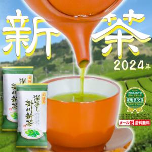 お茶 緑茶 新茶 2024年 深蒸し 掛川茶 水出し 静岡茶 世界農業遺産 茶草場農法 の里 である 掛川市 から 産地直送 工場直送 お徳用 100g 2本セット｜tea-yamaei