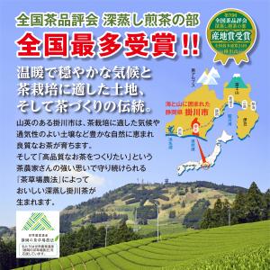 お茶 ティーパック 緑茶 ティーバッグ 静岡茶...の詳細画像2