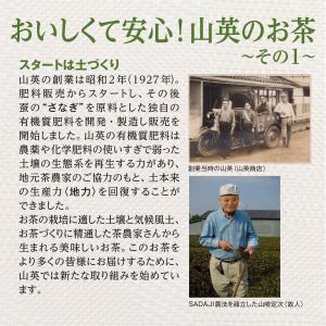 お茶 ティーパック 緑茶 ティーバッグ 静岡茶...の詳細画像5