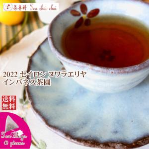 紅茶 ティーバッグ 10個 ヌワラエリヤ インバネス茶園 OP1/2022 茶葉 リーフ｜teachaichai