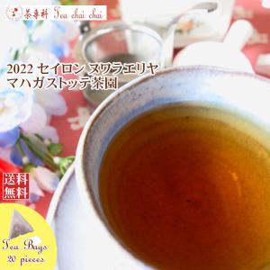 紅茶 ティーバッグ 20個 ヌワラエリヤ マハガストッテ茶園 BOPA/2022 茶葉 リーフ｜teachaichai