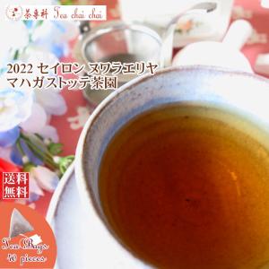 紅茶 ティーバッグ 40個 ヌワラエリヤ マハガストッテ茶園 BOPA/2022 茶葉 リーフ｜teachaichai
