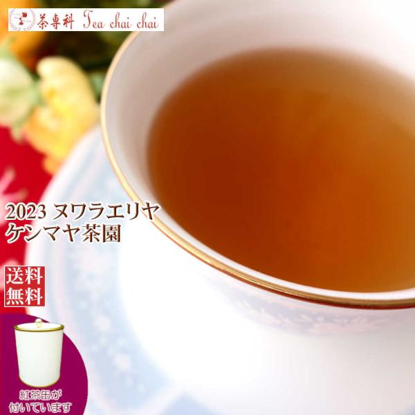 紅茶 茶葉 茶缶付 ヌワラエリヤ ケンマヤ茶園 OP1/2023 50g 茶葉 リーフ