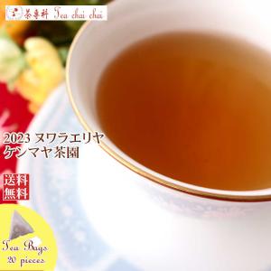 紅茶 ティーバッグ 20個 ヌワラエリヤ ケンマヤ茶園 OP1/2023 50g 茶葉 リーフ｜teachaichai