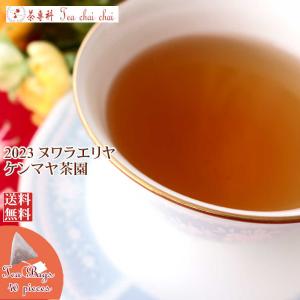 紅茶 ティーバッグ 40個 ヌワラエリヤ ケンマヤ茶園 OP1/2023 50g 茶葉 リーフ｜teachaichai