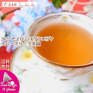 紅茶 ティーバッグ 10個 ヌワラエリヤ ラバーズリープ茶園 OP1/2022 茶葉 リーフ｜teachaichai