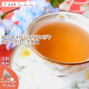 紅茶 ティーバッグ 40個 ヌワラエリヤ ラバーズリープ茶園 OP1/2022 茶葉 リーフ｜teachaichai