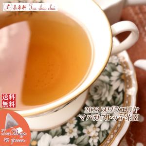 紅茶 ティーバッグ 40個 ヌワラエリヤ マハガストッテ茶園 FBOPF1/2023 50g 茶葉 リーフ｜teachaichai