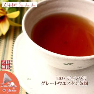 紅茶 ティーバッグ 40個 ディンブラ グレートウエスタン茶園 BOPF/2023 50g 茶葉 リーフ