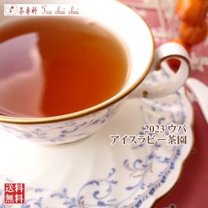 紅茶 茶葉 ウバ アイスラビー茶園 BOP1/2023 50g 茶葉 リーフ