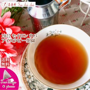紅茶 ティーバッグ 10個 ウバ アイスラビー茶園 FBOP/2022 茶葉 リーフ｜teachaichai