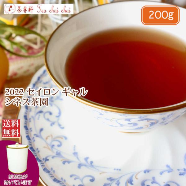 紅茶 茶葉 茶缶付 ギャル シネス茶園 OPA/2022 200g 茶葉 リーフ