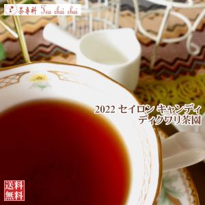 紅茶 茶葉 キャンディ ディクワリ茶園 CTC PF1/2022 50g 茶葉 リーフ