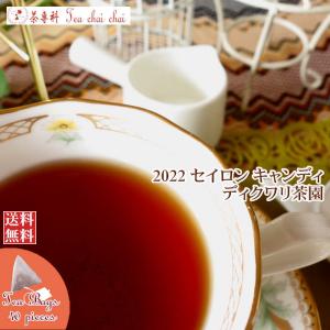 紅茶 ティーバッグ 40個 キャンディ ディクワリ茶園 CTC PF1/2022 茶葉 リーフ｜teachaichai