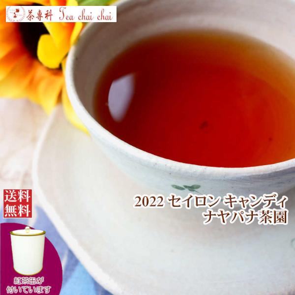 紅茶 茶葉 茶缶付 キャンディ ナヤパナ茶園 BOPA/2022 50g 茶葉 リーフ
