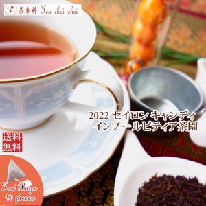 紅茶 ティーバッグ 40個 キャンディ インブールピティア茶園 BOP/2022 茶葉 リーフ｜teachaichai