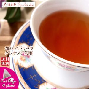 紅茶 ティーバッグ 10個 バドゥッラ グレナノア茶園 BOP1/2023 50g 茶葉 リーフ｜teachaichai