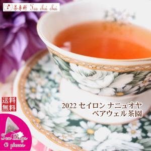 紅茶 ティーバッグ 10個 ナニュオヤ ベアウェル茶園 PEKOE/2022 茶葉 リーフ｜teachaichai