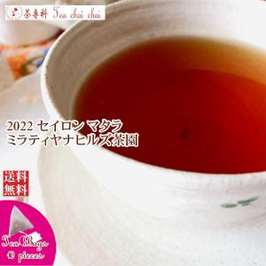 紅茶 ティーバッグ 10個 マタラ ミラティヤナヒルズ茶園 FBOP/2022 茶葉 リーフ｜teachaichai